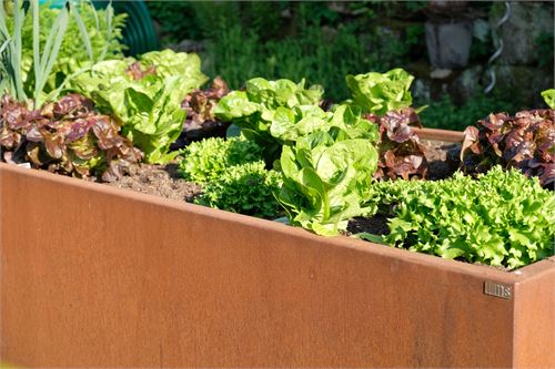🥇 Hochbeet K580 aus Cortenstahl für jeden schönen Garten